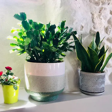Joli Duplex Avec Terrasse Marseille